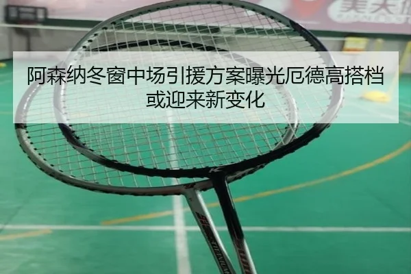 阿森纳冬窗中场引援方案曝光厄德高搭档或迎来新变化 - hth.com